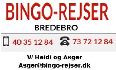 Bingo Rejser